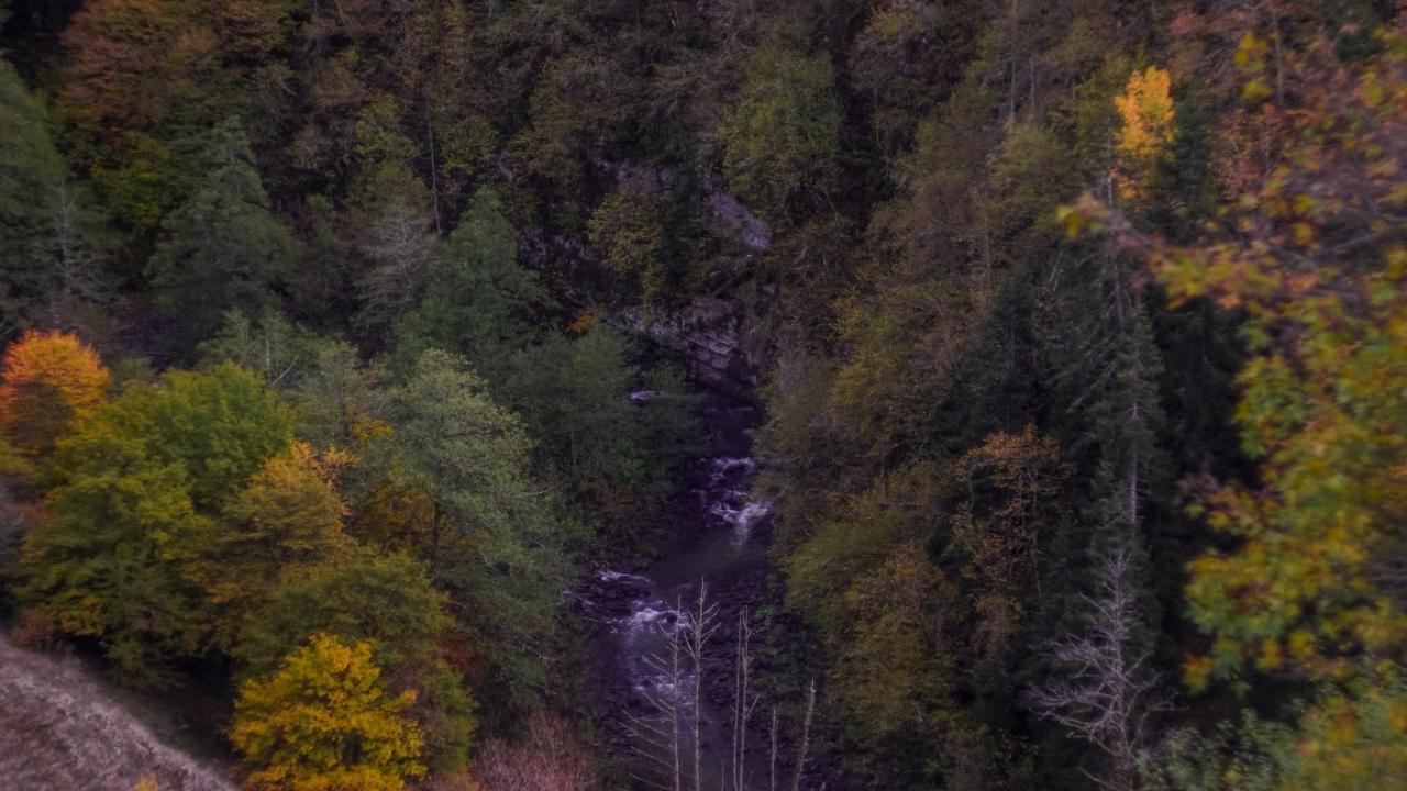 Landhaus Borjomi ภายนอก รูปภาพ
