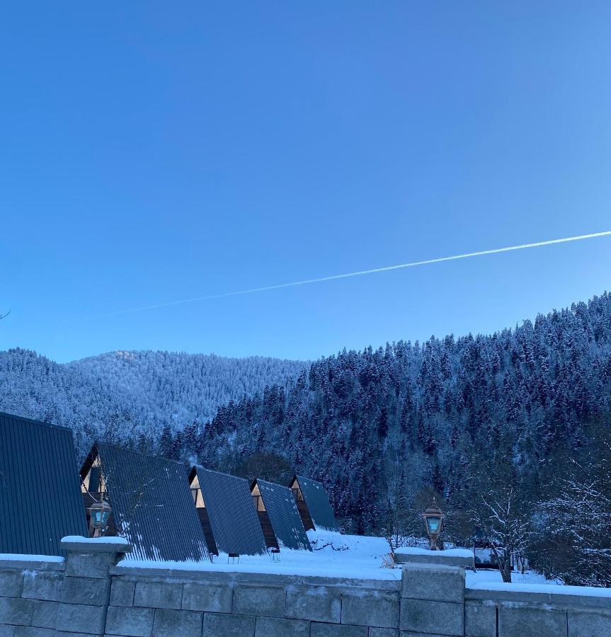 Landhaus Borjomi ภายนอก รูปภาพ