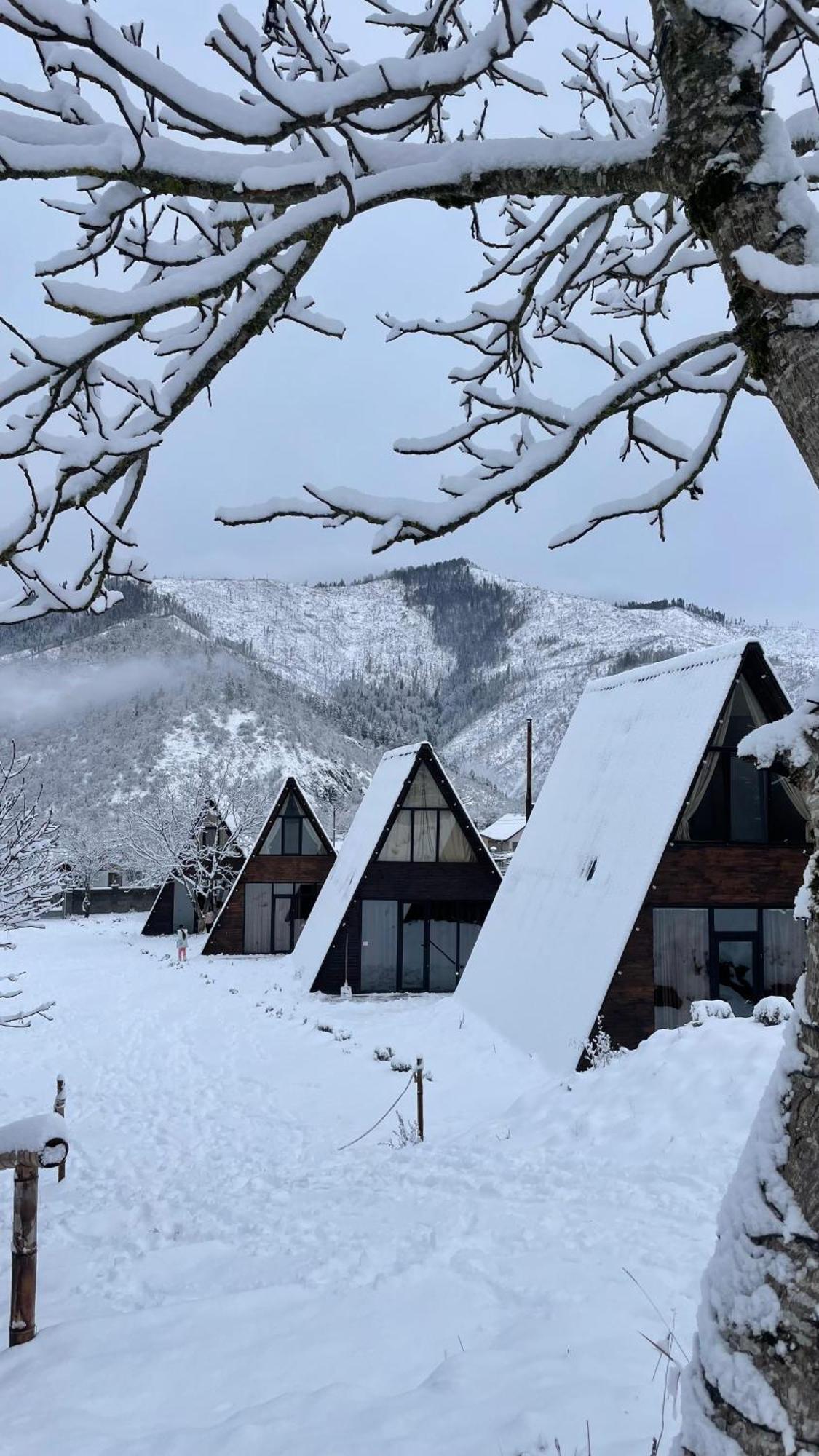 Landhaus Borjomi ภายนอก รูปภาพ