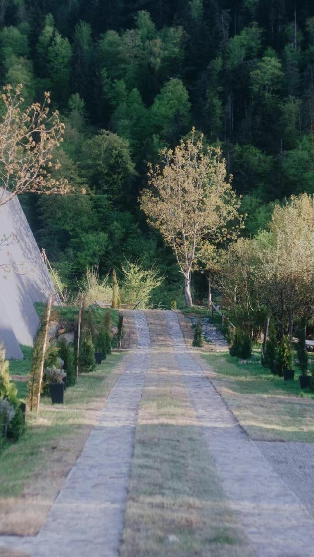Landhaus Borjomi ภายนอก รูปภาพ