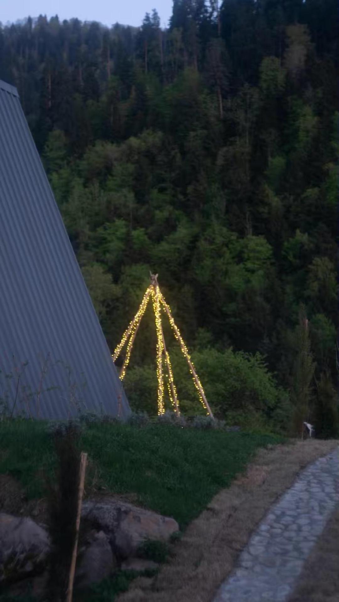 Landhaus Borjomi ภายนอก รูปภาพ