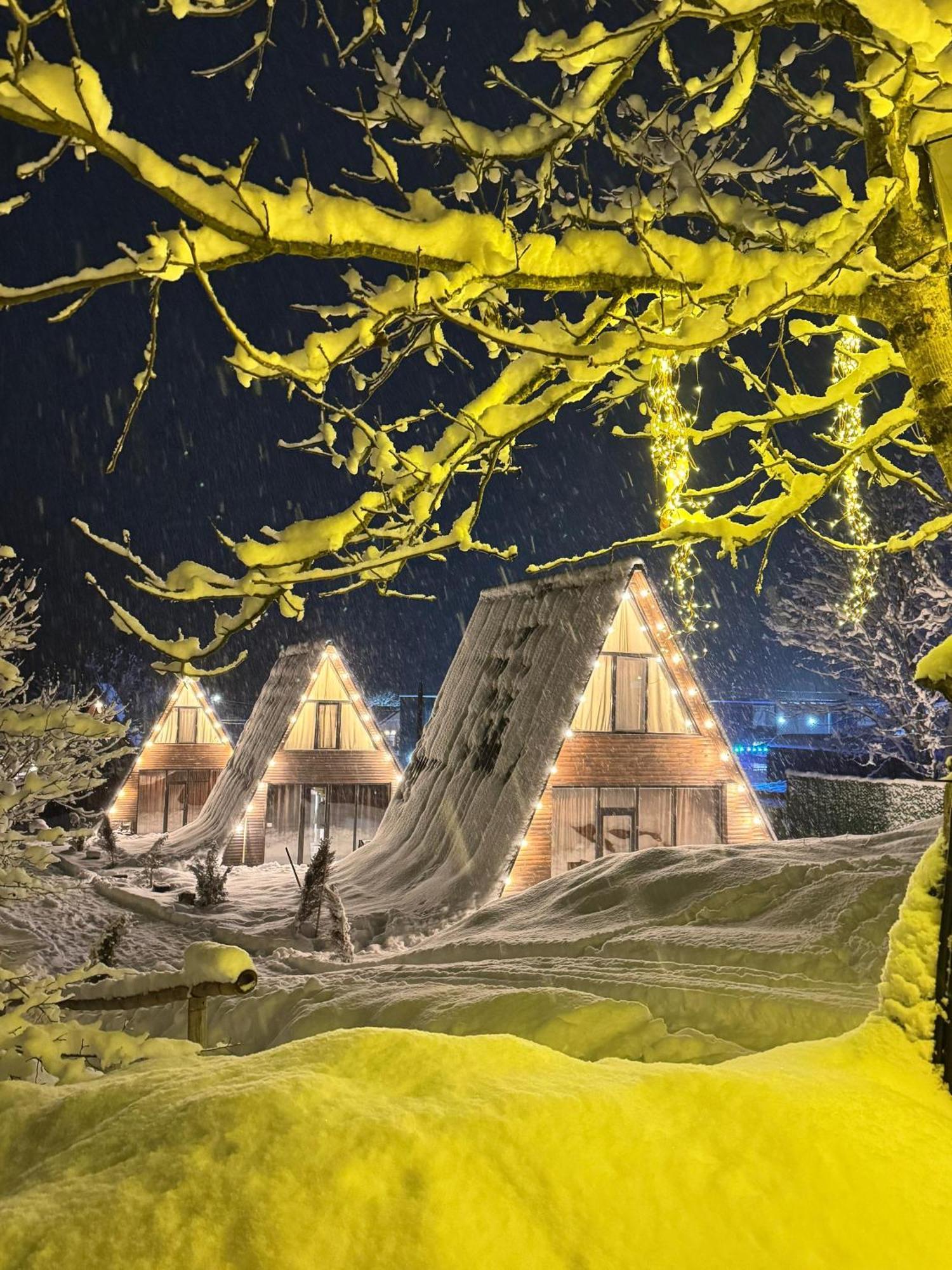 Landhaus Borjomi ภายนอก รูปภาพ